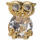 GOLD COLOR OWL STUDS EARRING